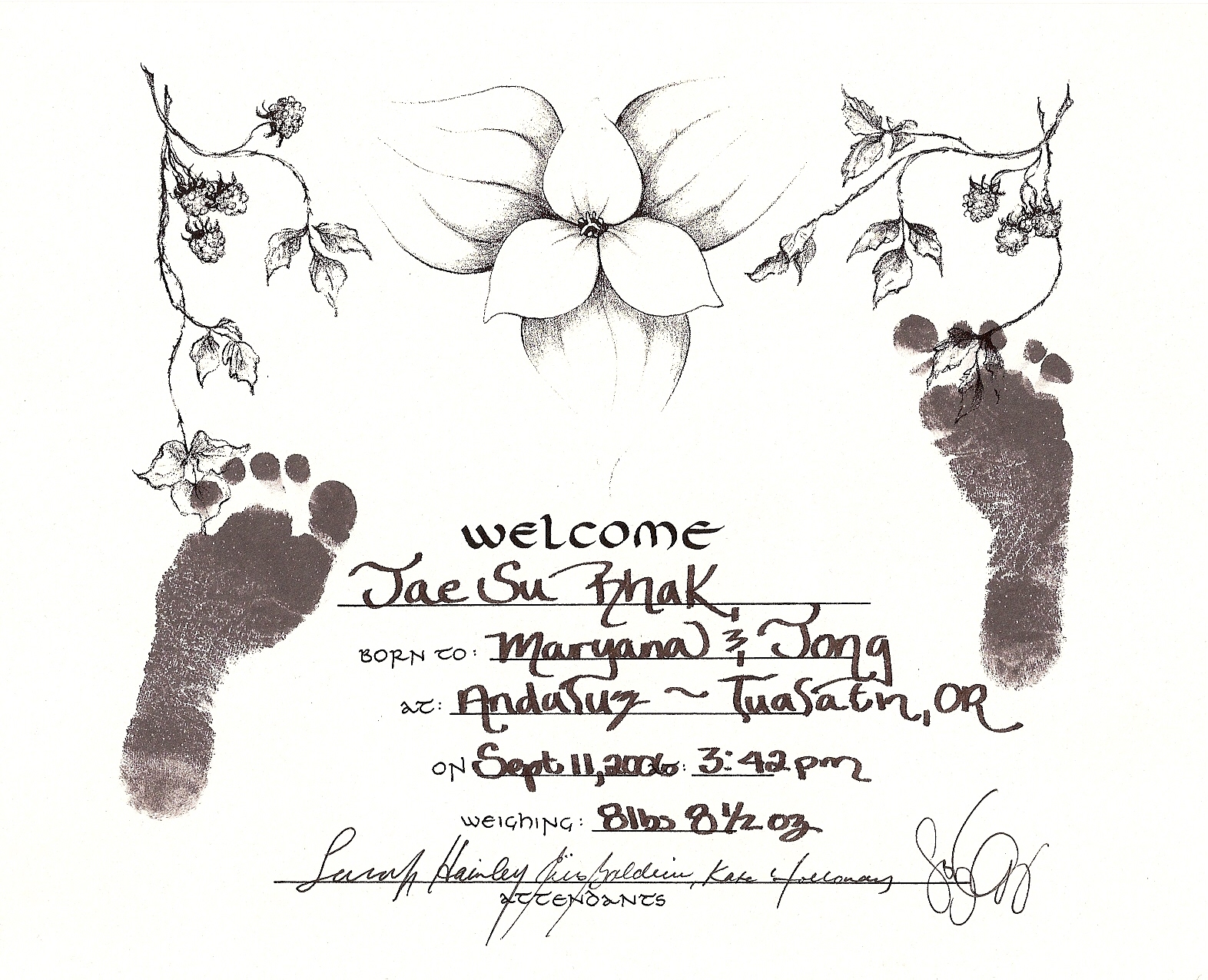 Jaesu_birth_mark_20060911.jpg