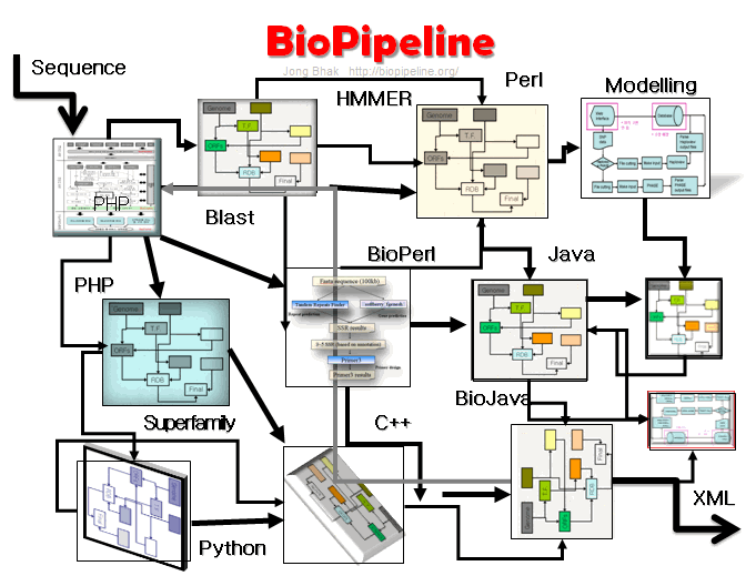 Biopipeline_jong_bhak_trans_20071106.png
